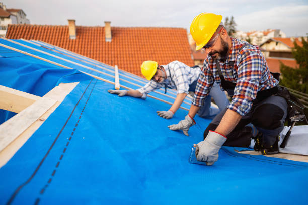 Best Gutter Installation and Roofing  in Old Fig Garden, CA